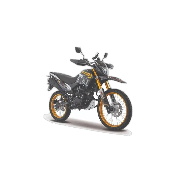 Italika DM300 disponible en Agencia Italika Celaya, Celaya, Guanajuato